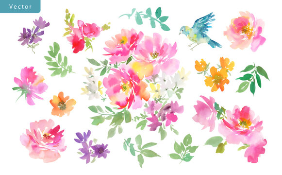 Watercolor floral vector clipart set with abstract hand painted pink roses, wild flowers and little bird for greeting card, stationary and surface design.