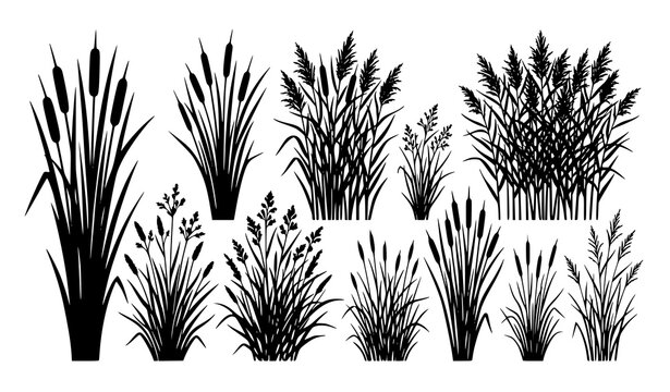 Minimal cattail reed and swamp grass silhouette vector collection isolated on white