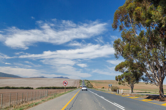 Asphalt road in South Africa surrounded by fields