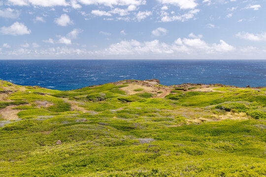 Sunny Hawaiian landscape with ocean and hills