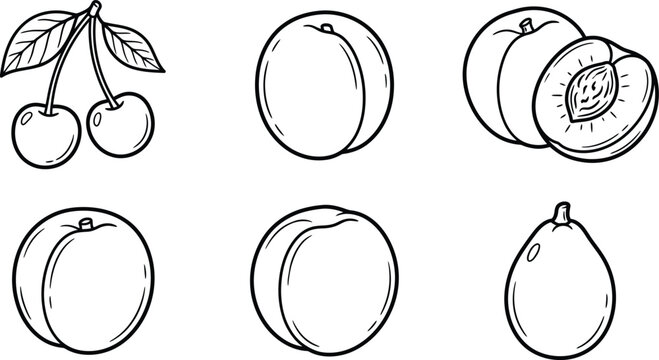 Black and white line drawing of various peaches and cherries