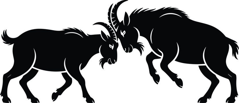 Modern mountain male goat sparring silhouette vector illustration isolated background