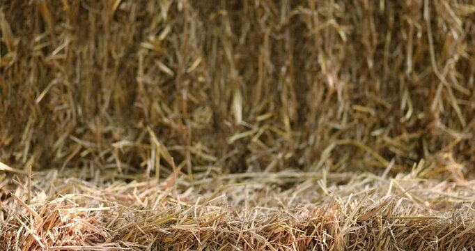 Hay bale for natural product display, Straw stack for organic advertising, soft green bokeh background and sunlight, ideal for agriculture themes, Natural backdrop and mockup use