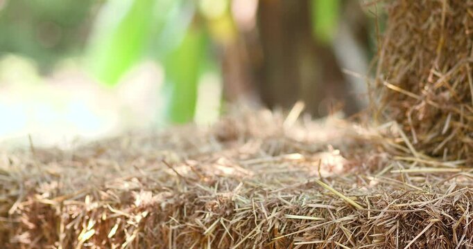 Hay bale for natural product display, Straw stack for organic advertising, soft green bokeh background and sunlight, ideal for agriculture themes, Natural backdrop and mockup use