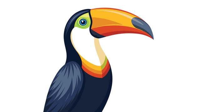 Toucans bird clipart vector illustration