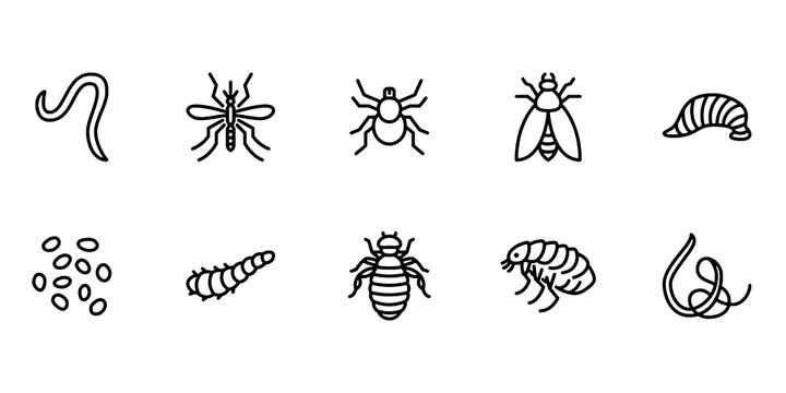 Parasite and Pest Control Line Icons Set. Worm, Tick, Mosquito, Leech, Infestation, Disease and Treatment Vector Illustration Collection.