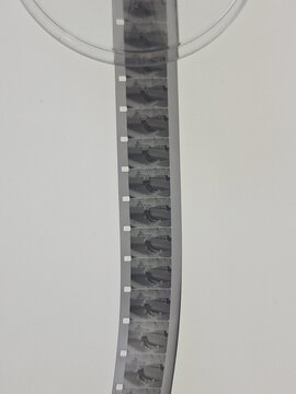 pellicola filmica in bianco e nero. Celluloide