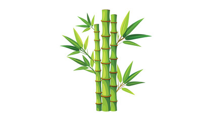 Fototapeta premium bamboo tree clipart vector illustration