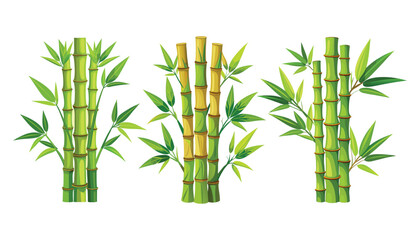 Obraz premium set of bamboo tree clipart vector illustration