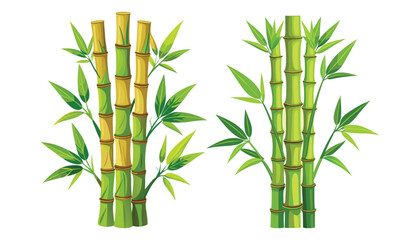 Fototapeta premium two bamboo tree clipart vector illustration