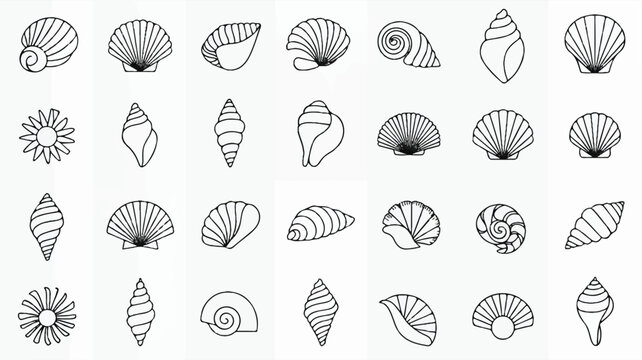 Black and white line drawing of various seashells on white background