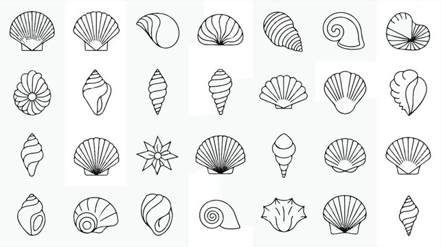 Collection of various seashells and ocean shells in simple line art style