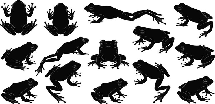 Frog Silhouette Vector Collection Set, Black Amphibian Toad Illustration Bundle, Various Poses Wildlife Animal Clipart Design Elements