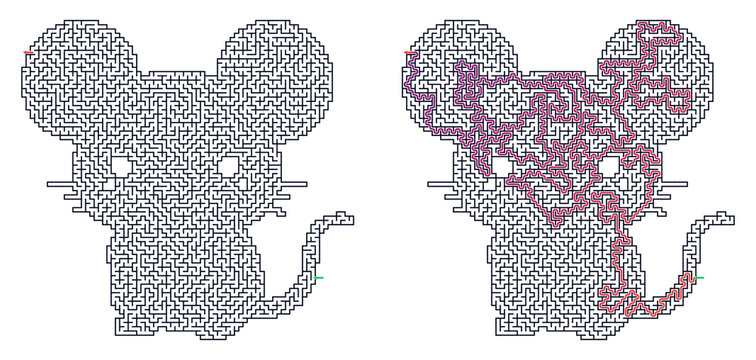 Mouse shaped maze puzzle with highlighted answer route