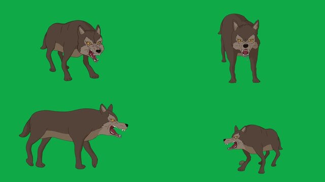 Wolf, Pack, Wild, Predator 2d animated cartoon character on green screen chroma key background. High quality forest wild animals isolated illustration loop cycle vector animation compositing