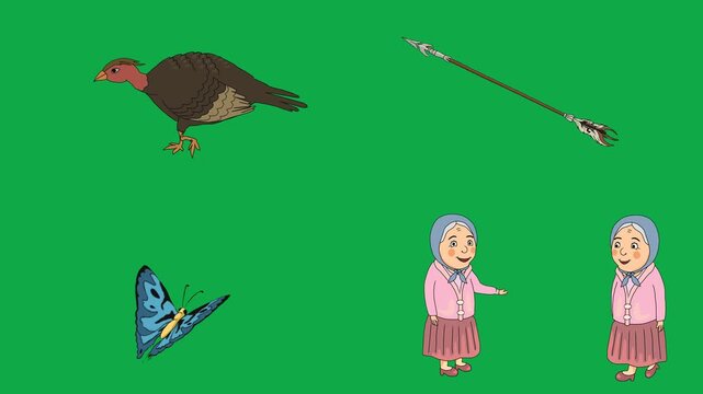 Turkey, Spear, Butterfly, Woman 2d animated cartoon character on green screen chroma key background. High quality mixed characters items isolated illustration loop cycle vector animation compositing