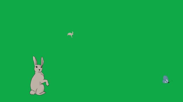 Rabbit, Bunny, Butterfly, Hop 2d animated cartoon character on green screen chroma key background. High quality cute wild animals isolated illustration loop cycle vector animation compositing