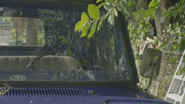 A detailed shot looking through the front windshield of an old blue truck into its vintage interior, showing the steering wheel and bench seat, framed by natural greenery