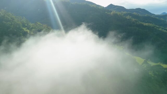 Aerial flyover above dense lush green tropical forest canopy with sunbeams piercing through mist and mountains near Banaue and Sagada in Philippines