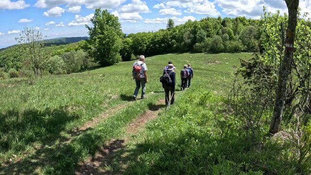 Group of hikers hiking on the beautiful mountain meadow, rear view