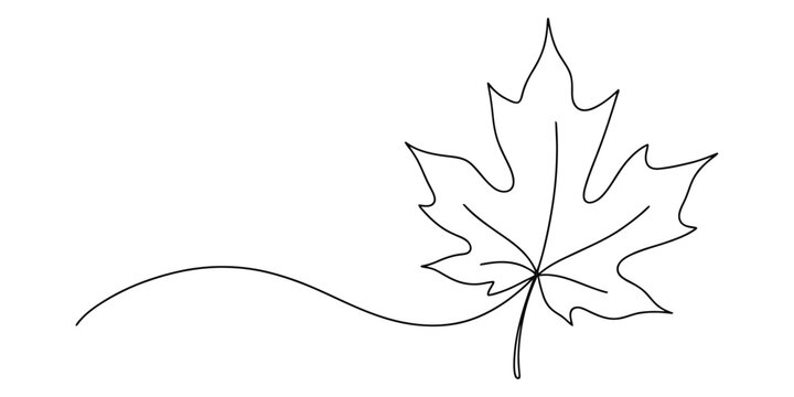 Single line drawing of a maple leaf with a flowing decorative line