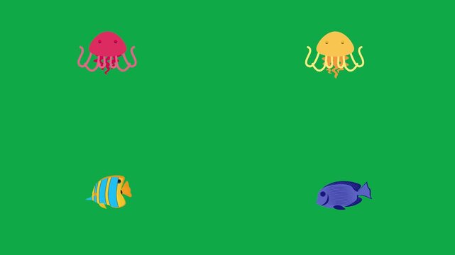 Octopus Squid Tang Tuna animation on green screen chroma key background flat lighting no shadow flush edge isolated minimal animated character perfect compositing vfx asset high quality render video