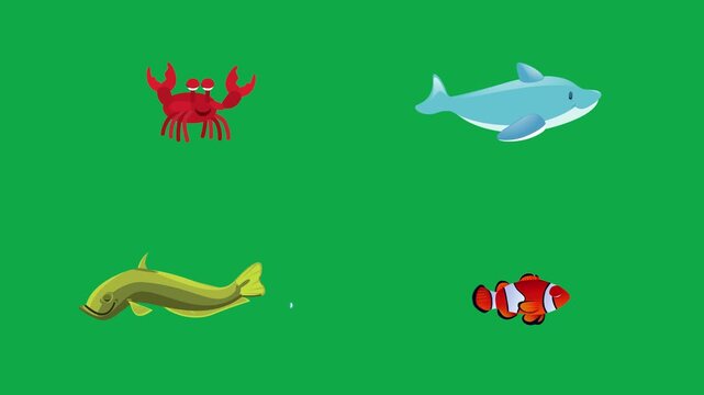 Crab Dolphin Eel Clownfish animation on green screen chroma key background flat lighting no shadow flush edge isolated minimal animated character perfect compositing vfx asset high quality render