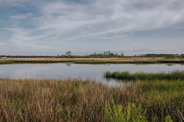 Obraz premium Peaceful coastal wetland under a cloudy sky