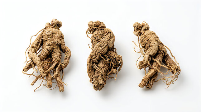 Three dried ginseng roots isolated on white background
