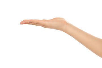Fototapeta premium Palm up gesture shows invitation for interaction, PNG