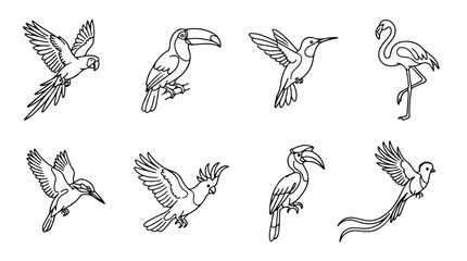 Tropical bird line art icons, set of 8 exotic bird vector illustrations, minimalist black and white parrot flamingo and toucan sketches for coloring © Sidra