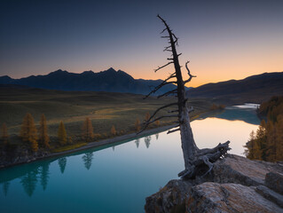 Obraz premium Lone dead tree overlooks a misty turquoise mountain lake at dawn with a warm glowing sunrise.