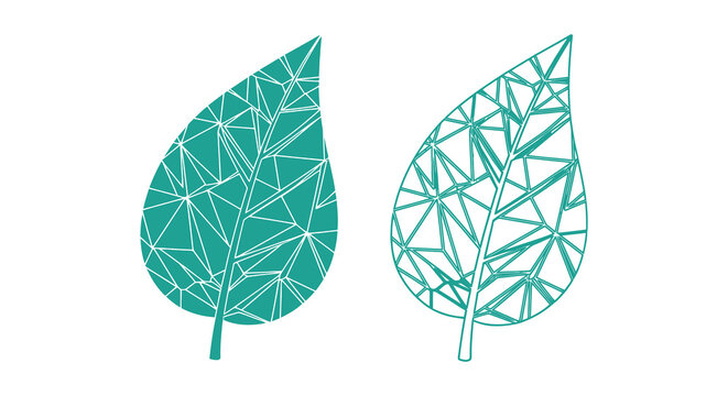 Geometric Leaf Design Teal And Black Line Art Illustration