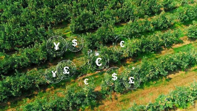 Farmers walking orchard, first Yen appearing and spawning currency icons clustering, mapping value