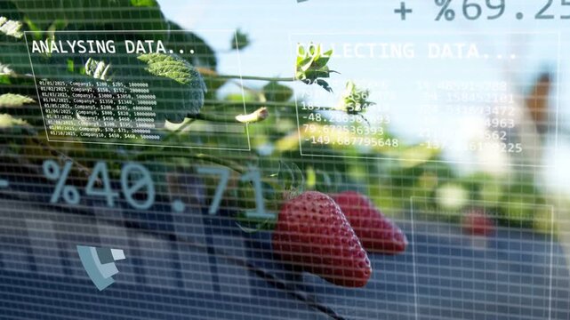 Rotating faceted triangle appearing and morphing into pie, HUD charts analysing strawberry data