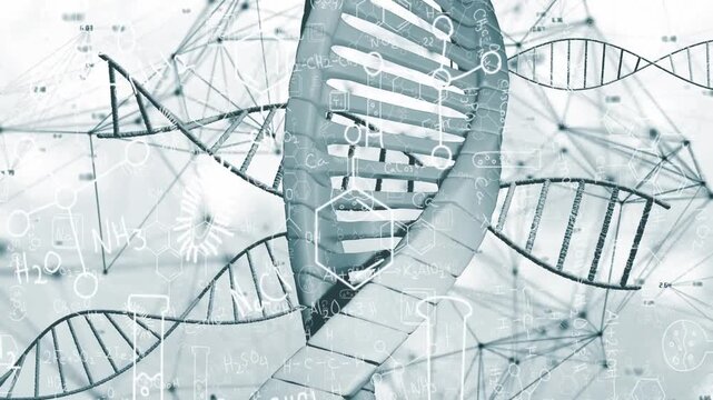 At start central DNA helix rotating and tilting while overlays fading in to visualize structure
