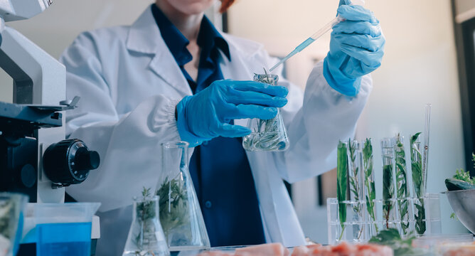 Scientists in lab coats work with plants in a modern lab, focusing on research and experimentation under bright, sterile conditions.