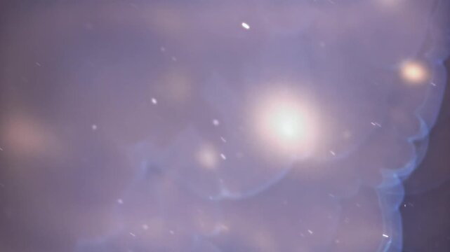 Purple smoke waves with soft bokeh perfumer crafts fragrance concept, Filmed on a high-speed camera at 1000 fps.