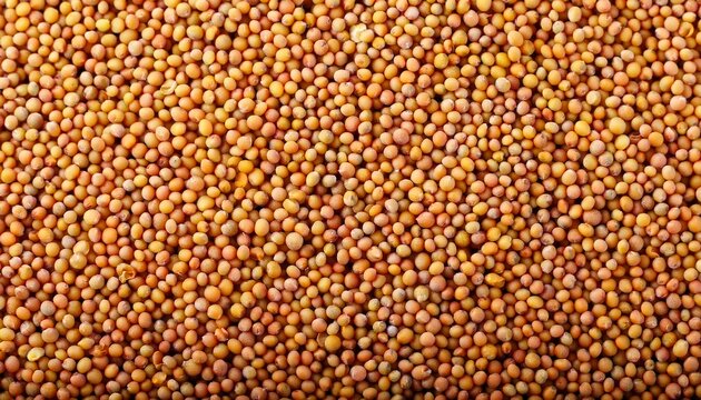 Dijon Mustard Seeds Close Up Texture