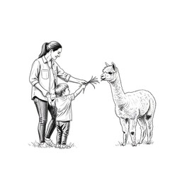 Naklejka premium Mother and Child Feeding Alpaca in Field