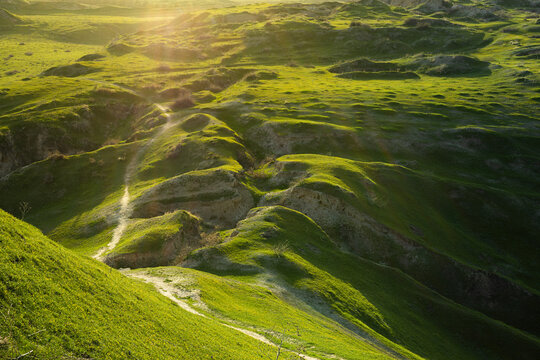 Green hills of Afrasiyab ancient settlement with eroded ravines bathed in golden sunset light. Spring landscape of archaeological terrain in Samarkand, ideal for travel and history publications.