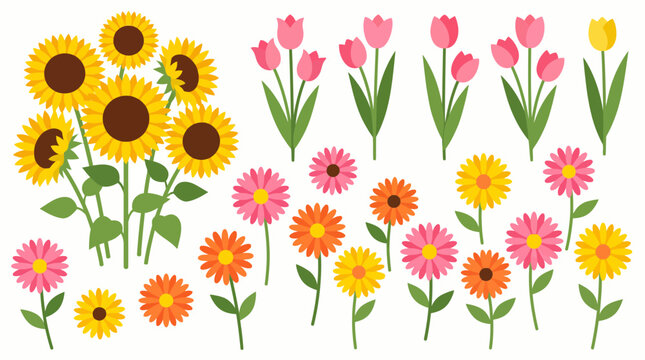 Assorted spring flowers including sunflowers, pink tulips, and colorful daisies arranged on a white background in a vibrant garden floral collage