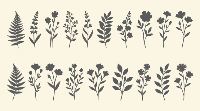 Monochrome collection of diverse fern and herb leaf silhouettes arranged in two rows, a botanical illustration set