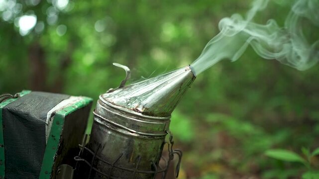 A beekeeping smoker releases smoke in a dense forest setting, creating a calming atmosphere. Useful for educational content on beekeeping techniques.