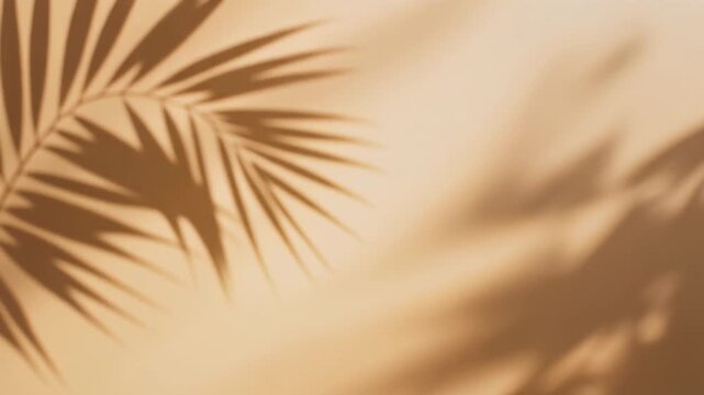 Palm Leaf Shadows Dancing on a Warm Beige Wall.