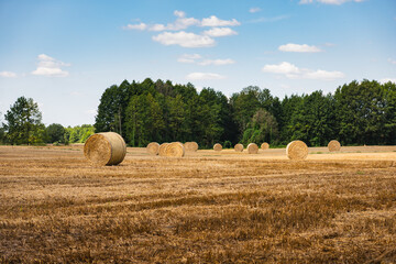 a landscape with stubble after the harvest on a sunny summer day © michal812