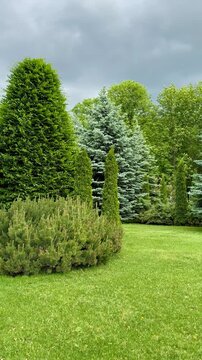 garden in the park