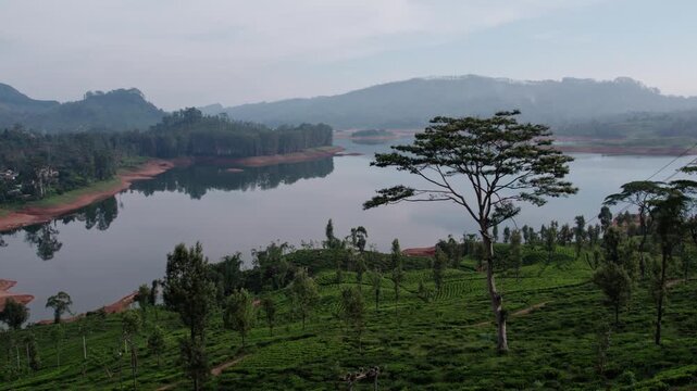 Aerial view of Sri Lanka tea plantations by a lake in misty hills