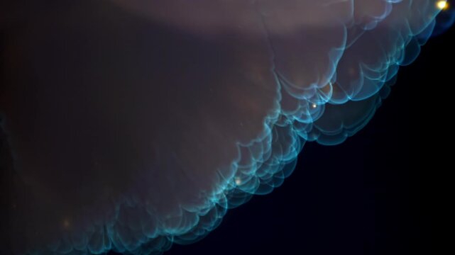 Blue bubble reaction with pink smoke chemist records lab experiment, Filmed on a high-speed camera at 1000 fps.