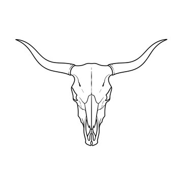 Longhorn Bull Skull Line Art